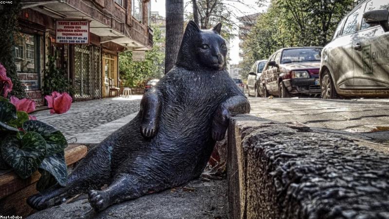 Siemens &ccedil;amaşır makinesinin altından su geliyor, filtre kapağını kontrol ettim tam kapalı. Kazan delinmiş olabilir mi yoksa tahliye hortumunda mı sorun vardır?