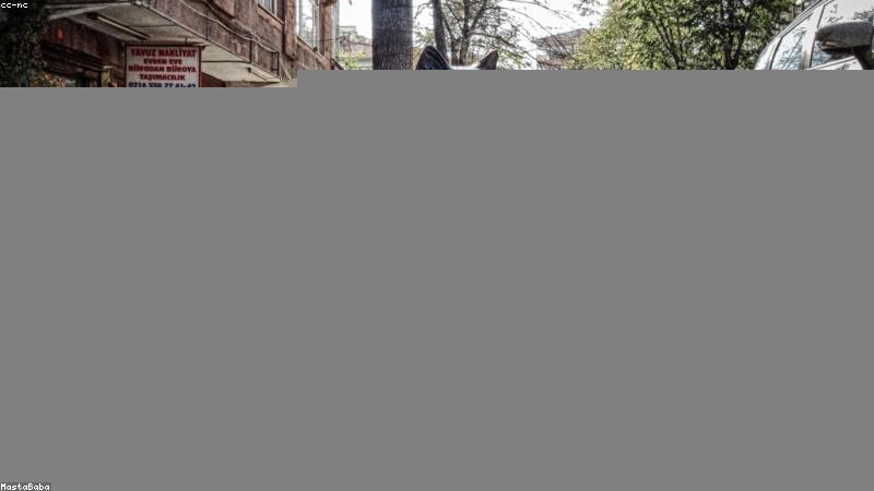 Kapora dolandırıcısı benden 5000 TL kiralık ev kaporası aldı ve beni her yerden engelledi. Sadece IBAN numarası ve WhatsApp yazışmaları ile savcılığa su&ccedil; duyurusunda bulunsam ceza alır mı?